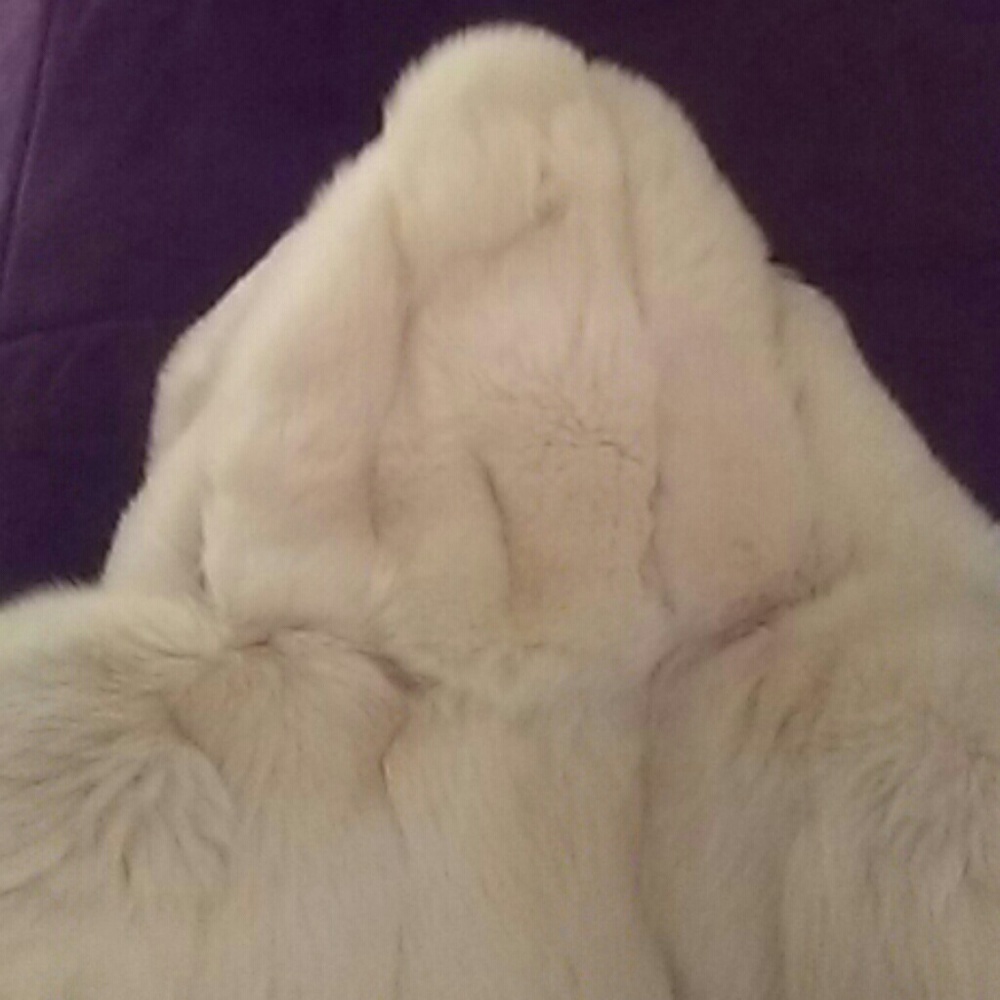 💕HOST PICK💕dreamy fur/hood - Picture 5 of 9